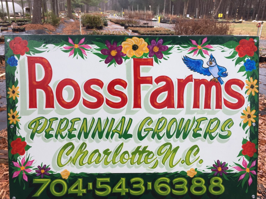 Ross Perennial Plant Farm Home
